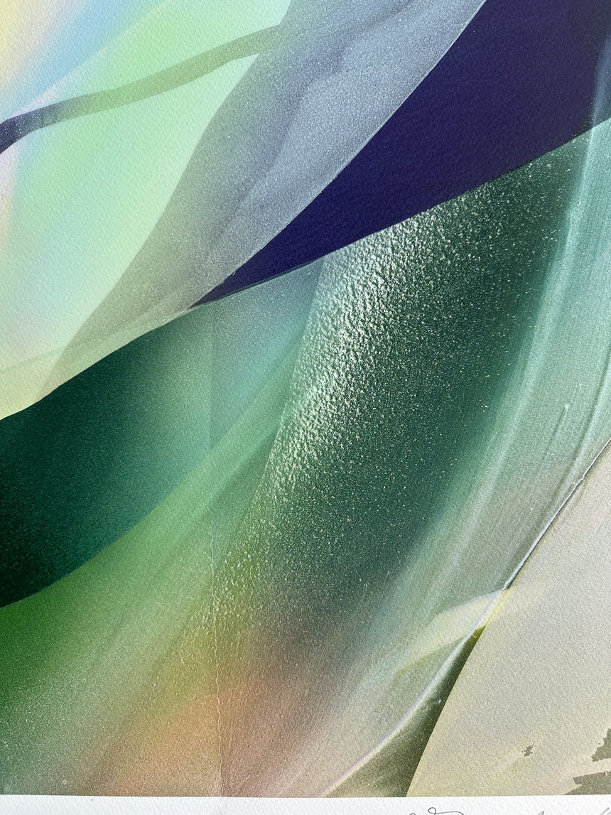 Sold Out | Orchid II