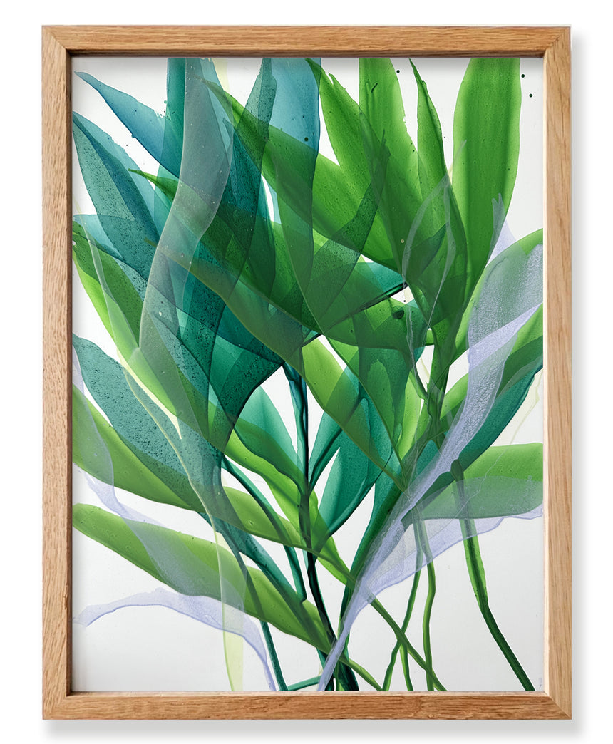 NEW - Botanical Study 23