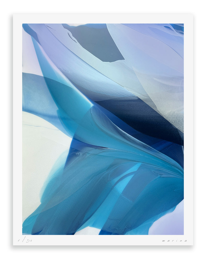 Sold Out | Bellflower I