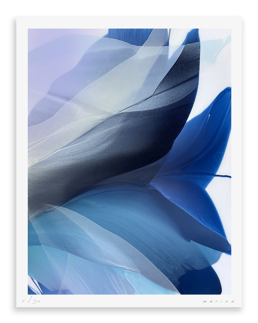 Sold Out | Bellflower II