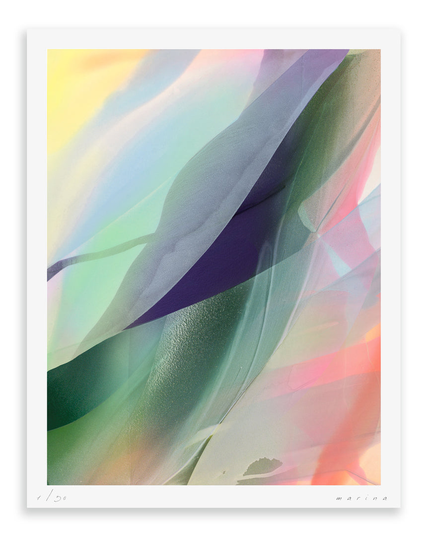 Sold Out | Orchid II