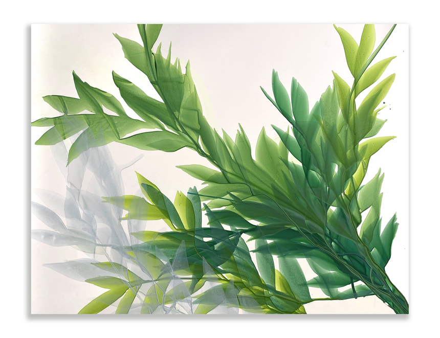 Sold | Botanical Study IX (31 x 27" Large)