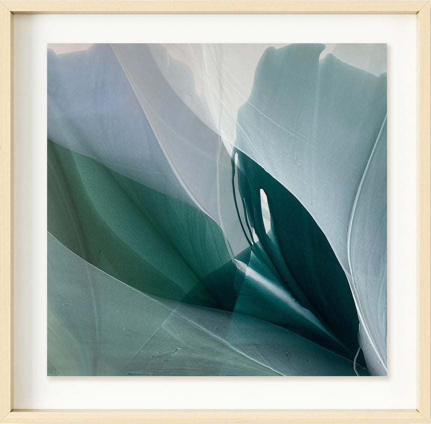 Sold | Nocturne