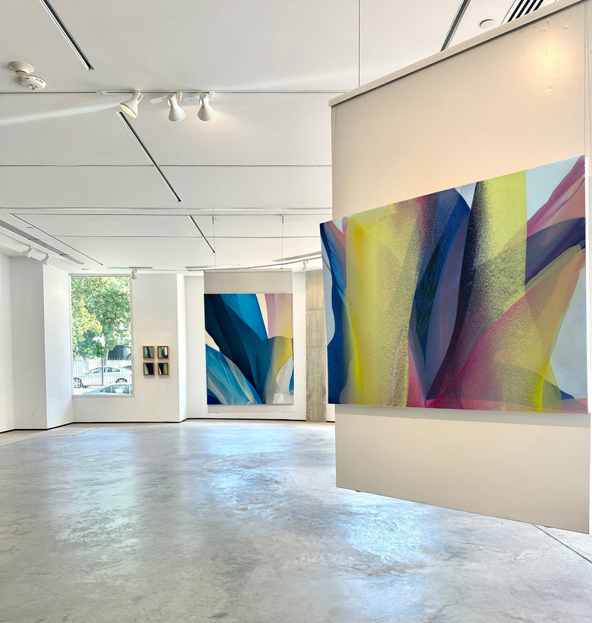 "Natural Order" Solo Exhibition, Octavia Gallery