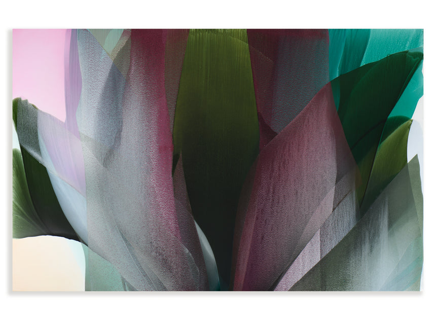 Sold | Red Magnolia