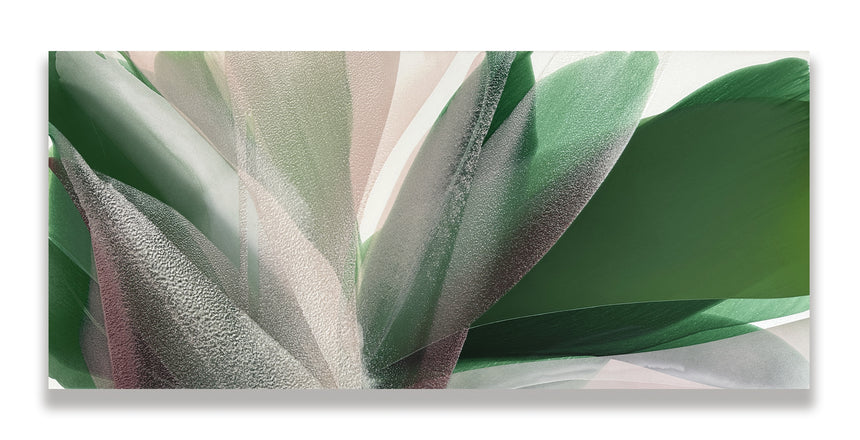 Sold | Red Magnolia II