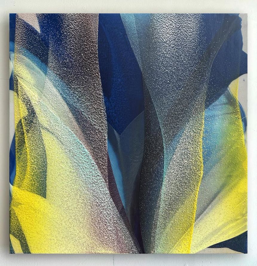 Blue Iris II