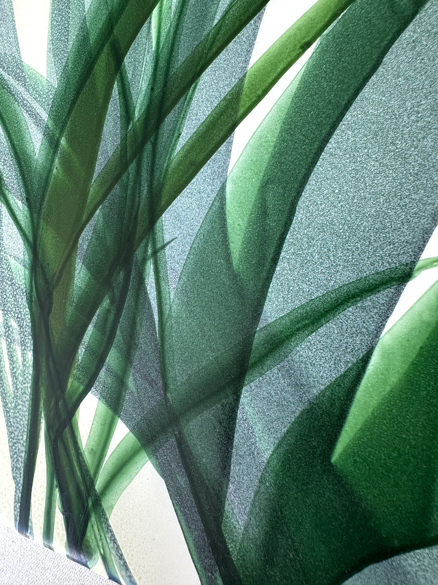 Botanical Study II
