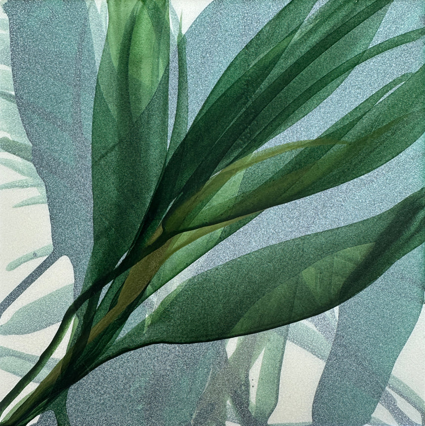 Botanical Study IV