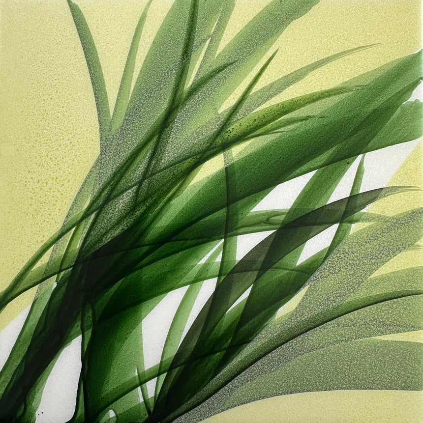 Botanical Study VII