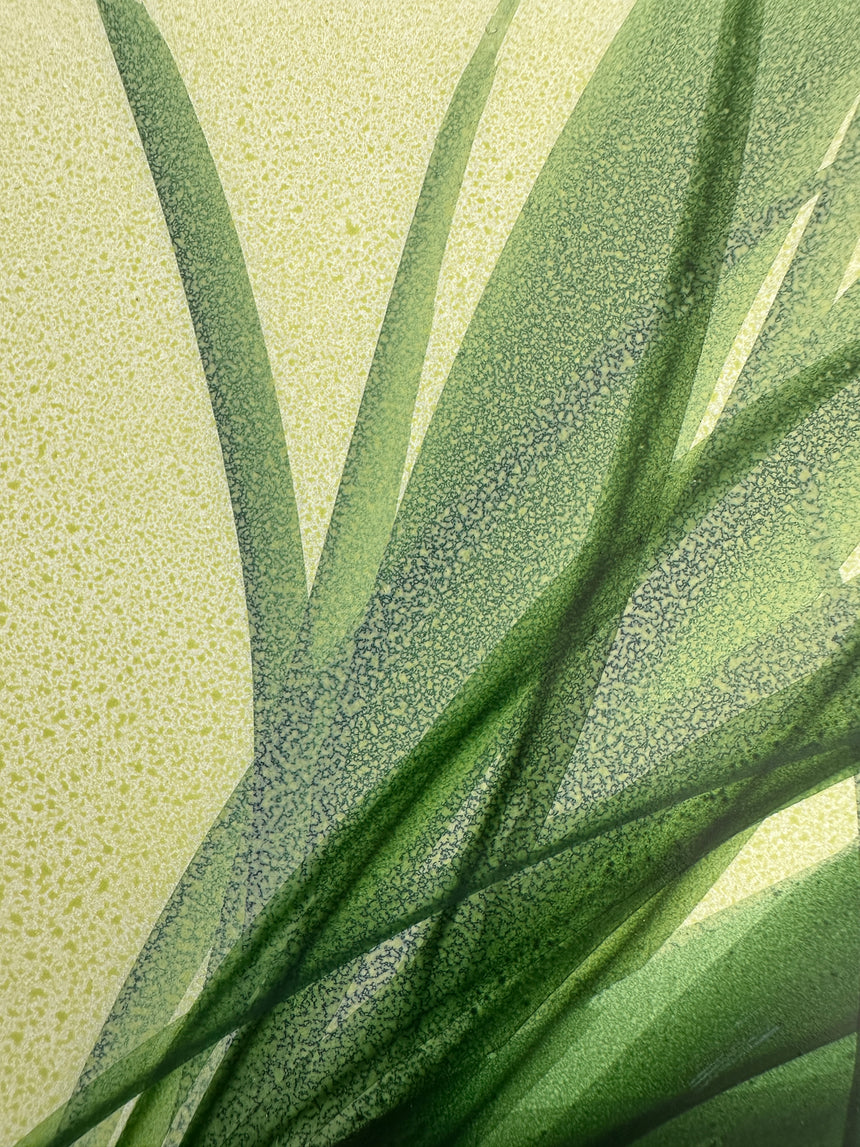 Botanical Study VII
