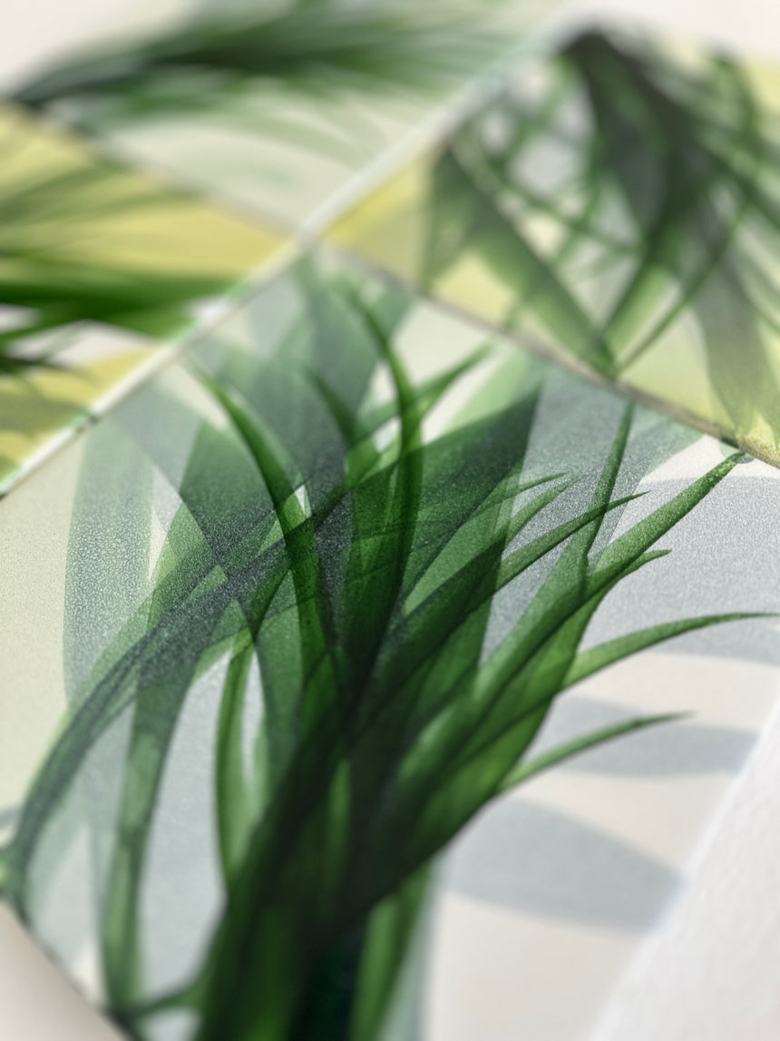 Botanical Study VIII