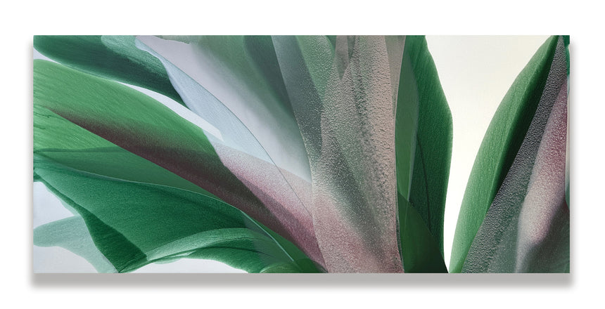 Sold | Red Magnolia II
