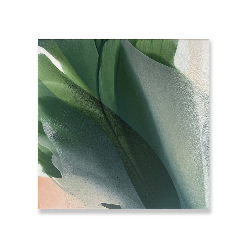 Sold | Magnolia XII
