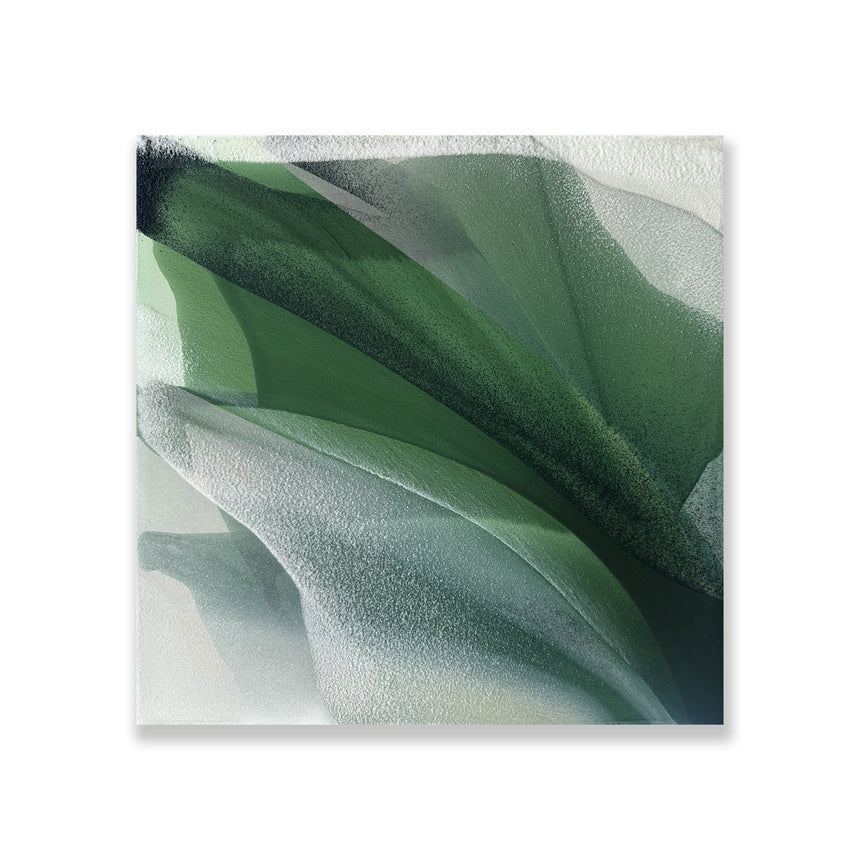 Magnolia XI