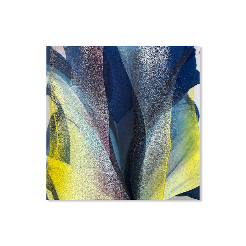 Blue Iris II