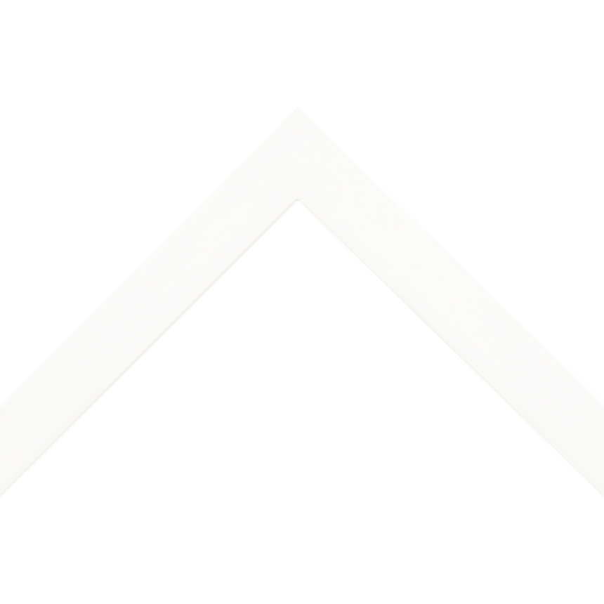 Jasper II 1" Cap White