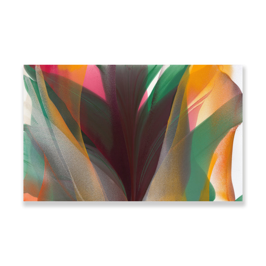 Sold | Jungle I