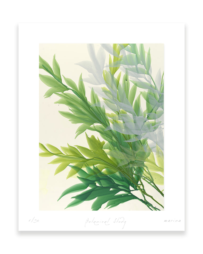 Sold Out | Botanical Study