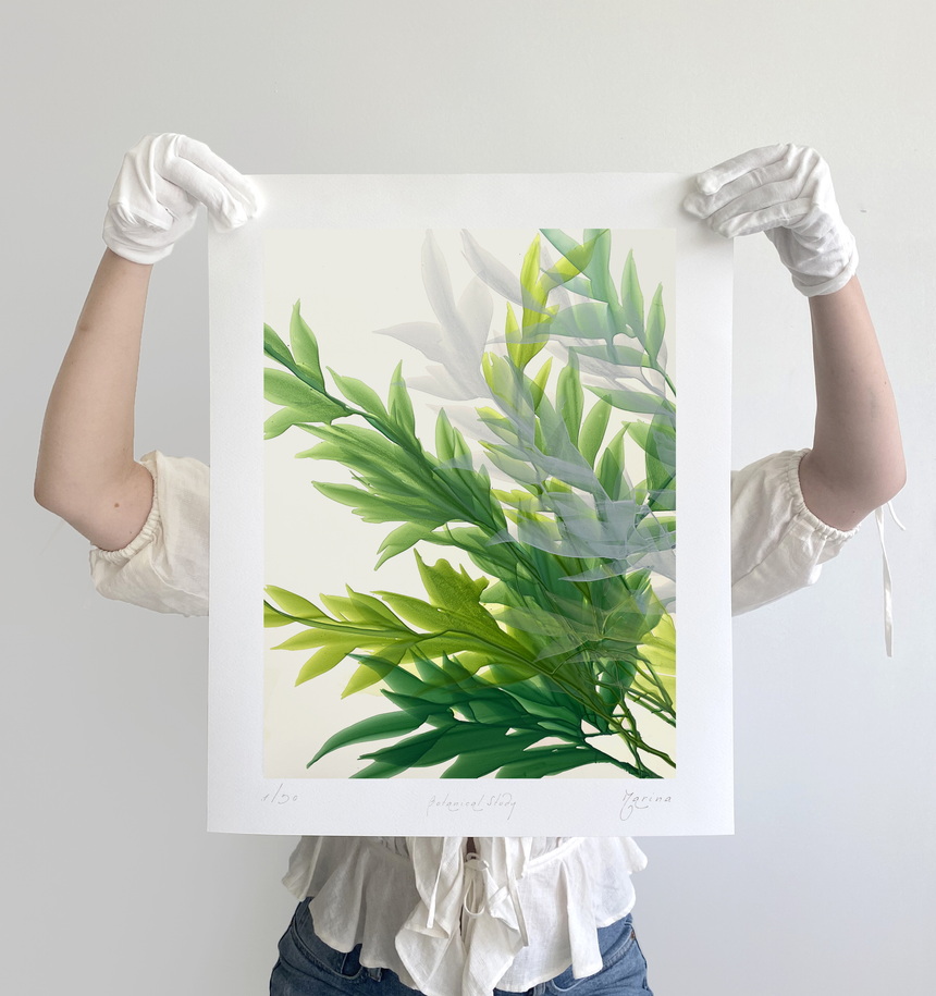Sold Out | Botanical Study
